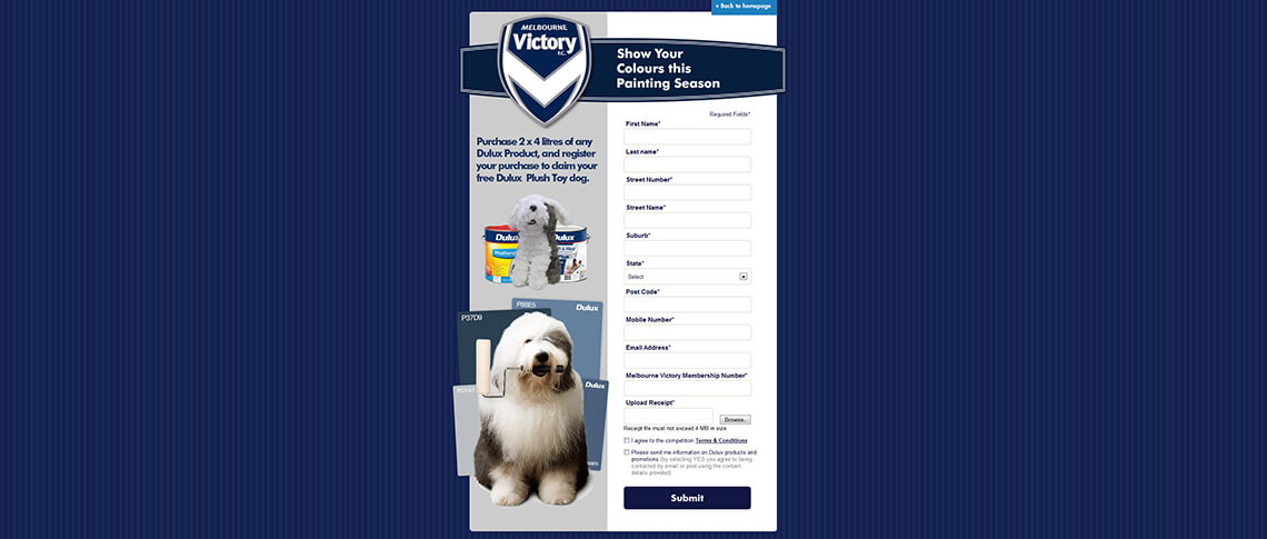 Online Competition Case Study: Dulux